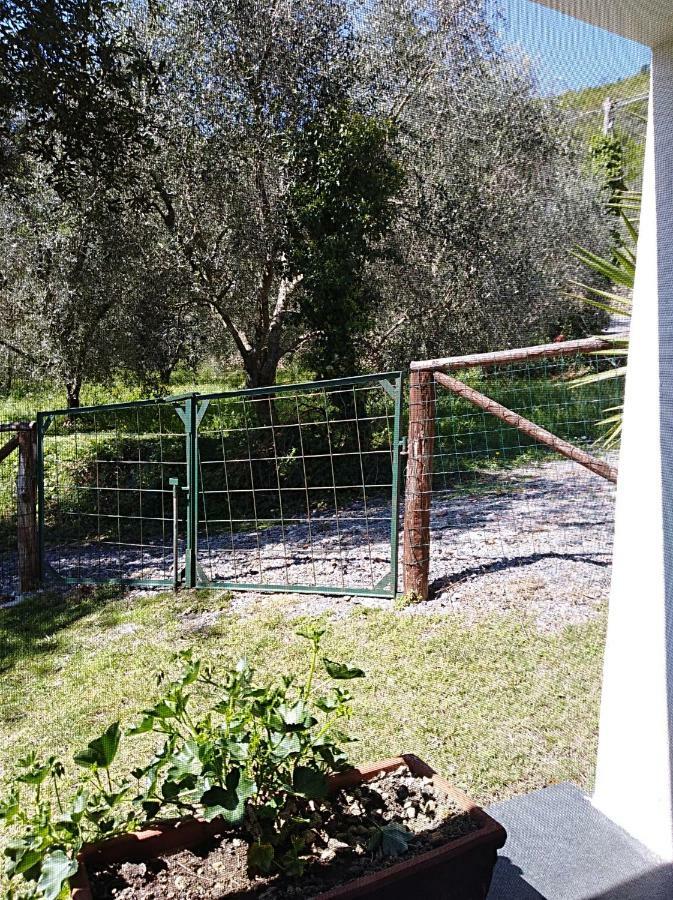 Ca' Do Diao Vila Onzo Exterior foto